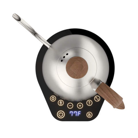 Brewista Artisan Isı Ayarlı 1.0 lt. Stainless Steel