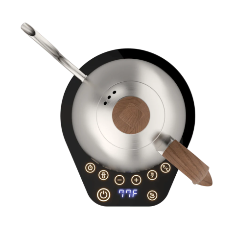 Brewista Artisan Isı Ayarlı 1.0 lt. Stainless Steel