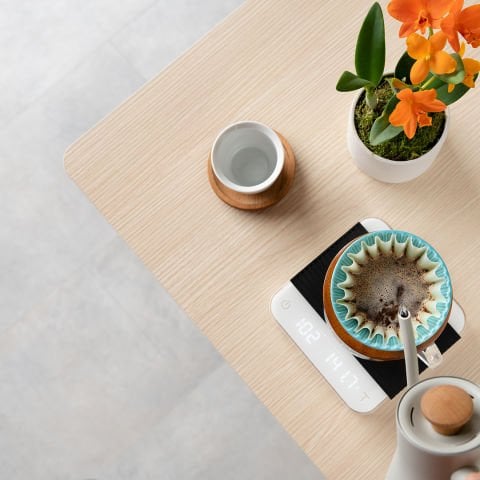 Acaia Yeni Pearl Tartı White