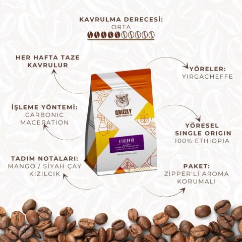 Ethiopia Boledu - Filter