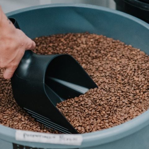 Rhino Kahve Kepçesi